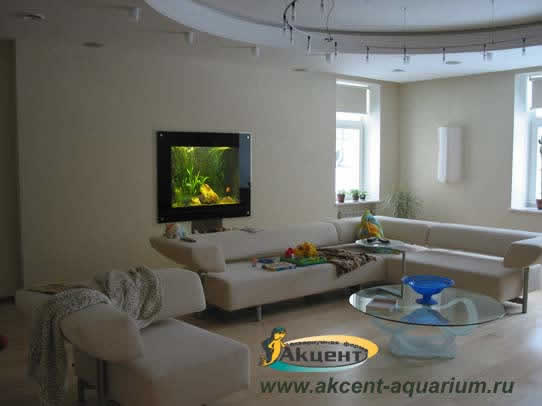 Акцент-аквариум, аквариум 600л. встроенный в стену с живыми растениями